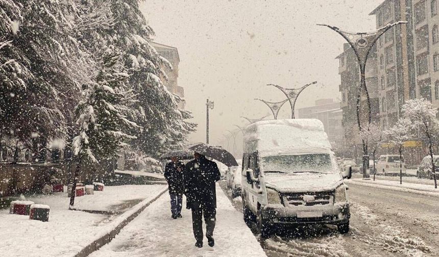 Van ve Muş'ta kar nedeniyle 187 yerleşim yerine ulaşım sağlanamıyor