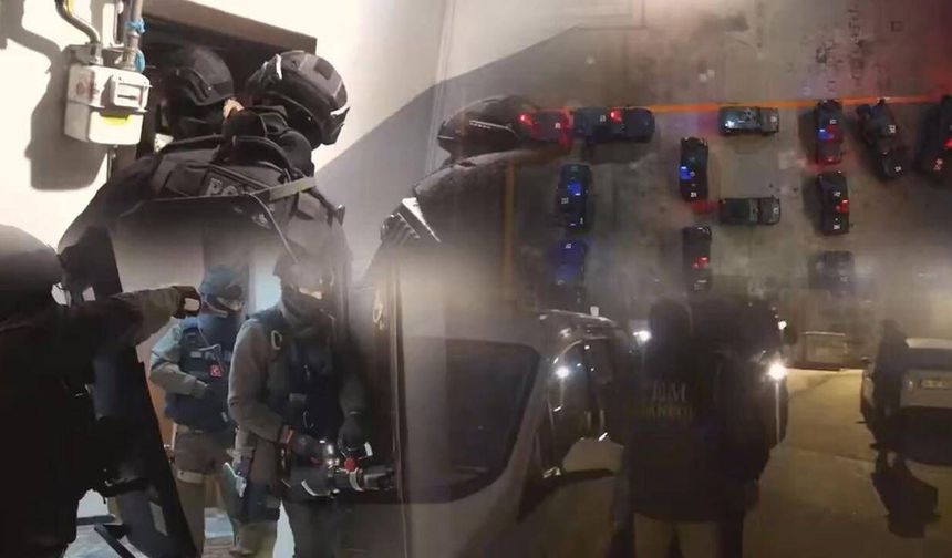 Gürcistan'da ortak operasyon: 16 suçlu yakalandı