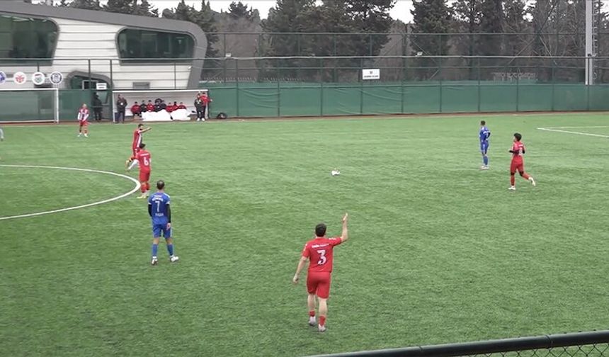 İstanbul'da maçta top çarpan martıya kalp masajı!