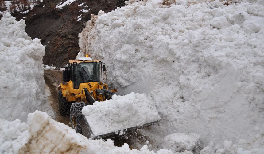 Bitlis'te çığın düştüğü köy yolunda çalışma başlatıldı