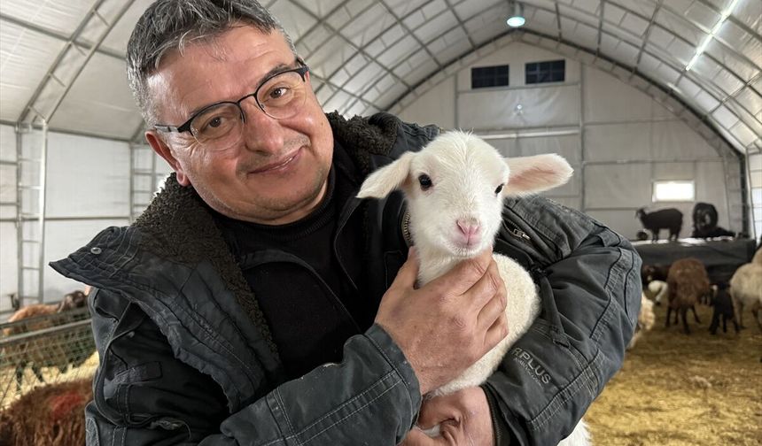 Çadır ağıl desteğiyle büyüttüğü işinde küçükbaş hayvan sayısını artırdı