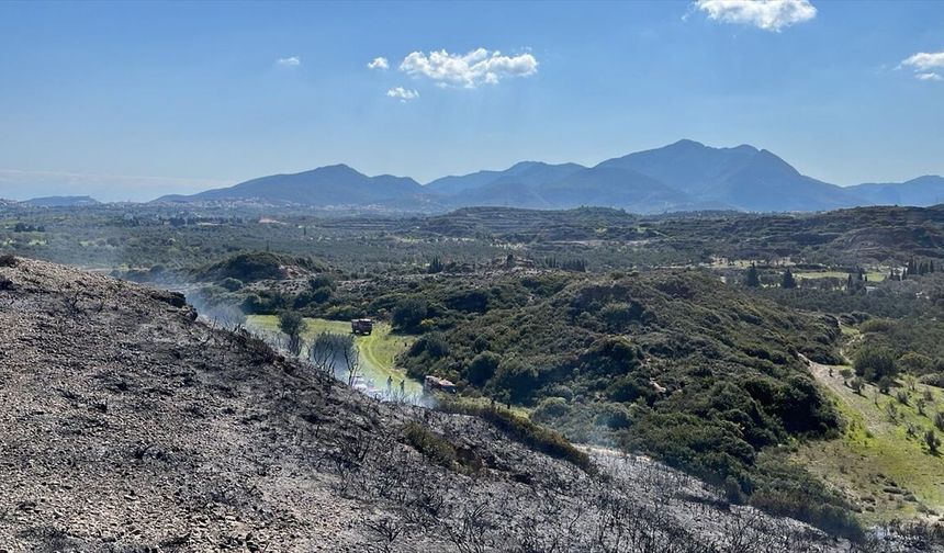 Muğla'da makilik alanda çıkan yangın söndürüldü