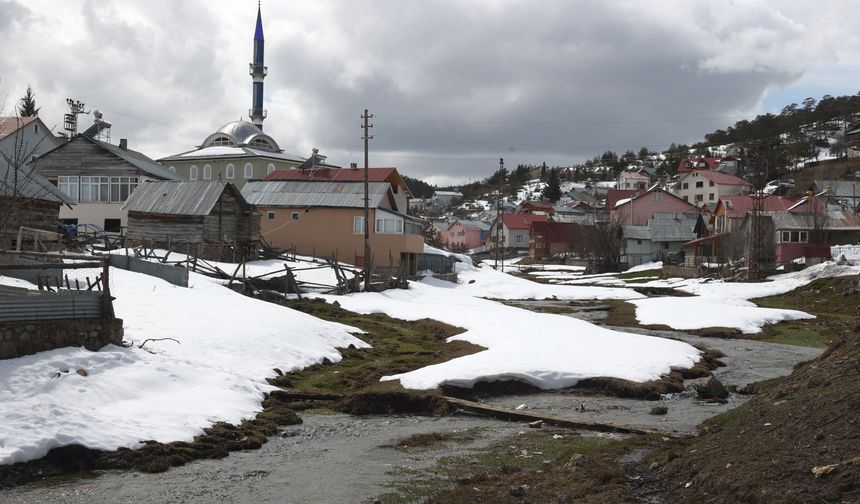 Sivas'taki Eğriçimen Yaylası baharın gelişiyle bir başka güzelliğe büründü