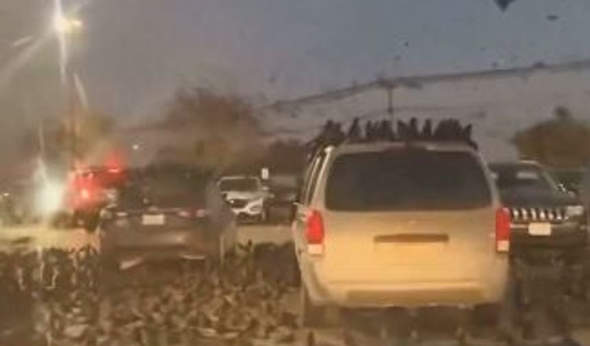 İsrail'de şok olay! Kargalar ve kuzgunlar Tel Aviv'i bastı