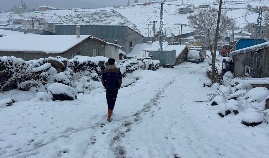 Erzurum, Kars ve Ardahan'da kar yağışı ve soğuk hava etkili oluyor