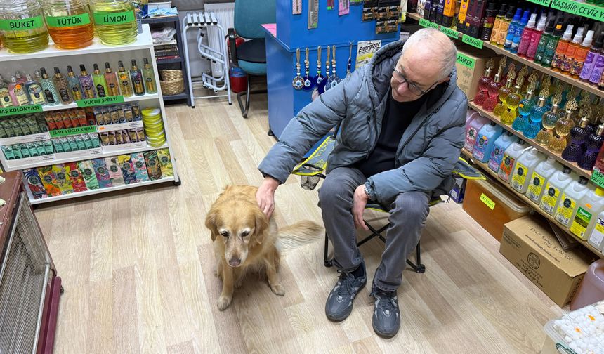 Hastalığına tanı konulamayan köpek sevginin gücüyle hayata bağlandı