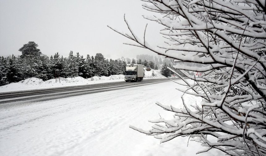 Kars ve Ardahan'da ilkbaharda kar etkili oldu