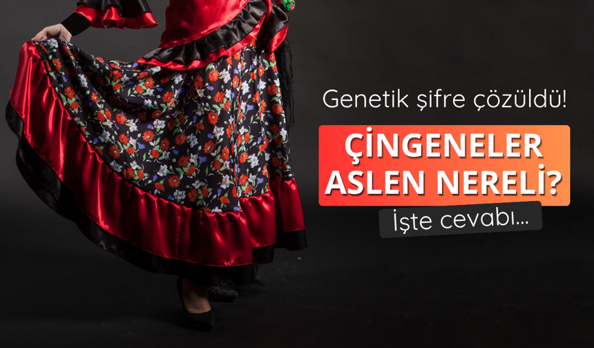 Çingeneler aslen nereli?