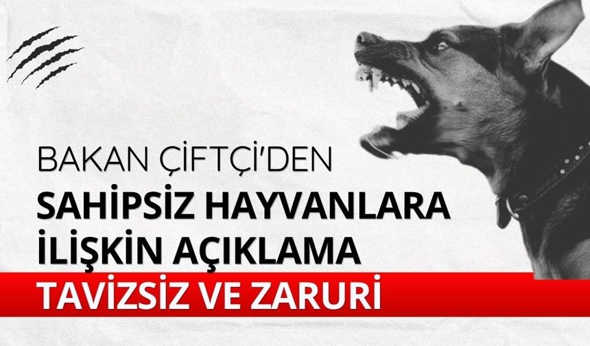 Bakan Çiftçi'den sahipsiz hayvanlara ilişkin açıklama: Tavizsiz ve zaruri