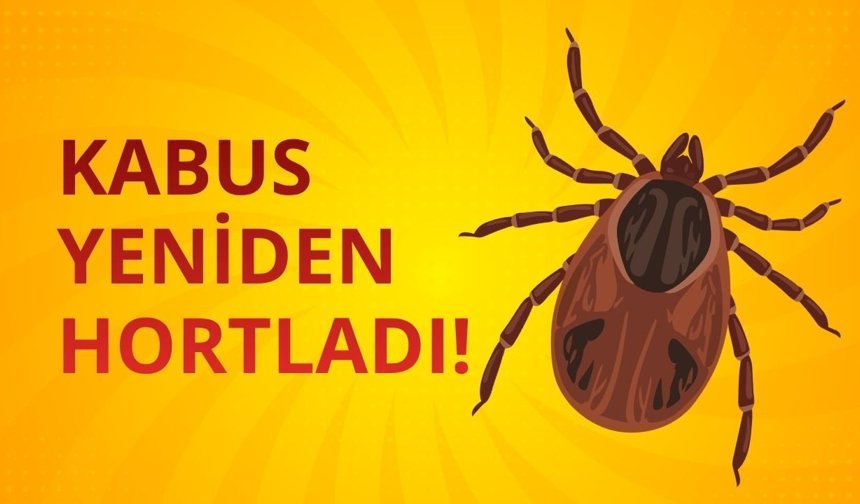 Tokat'ta 2 kişi KKKA hastalığı teşhisiyle tedavi görüyor