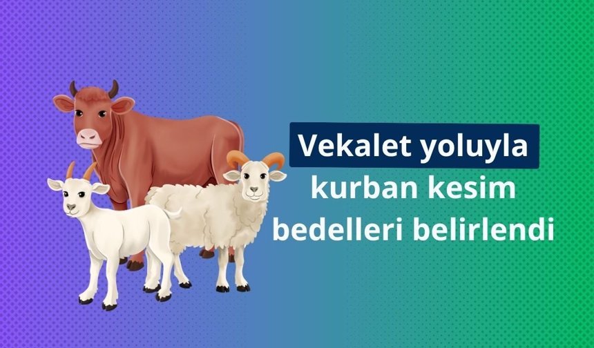 Vekalet yoluyla kurban kesim bedelleri belirlendi