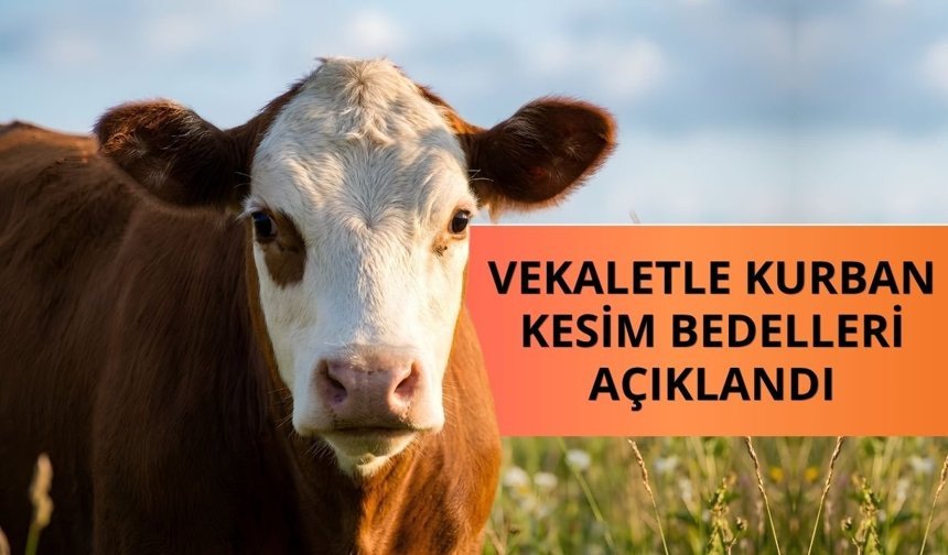Vekaletle kurban kesim bedelleri açıklandı