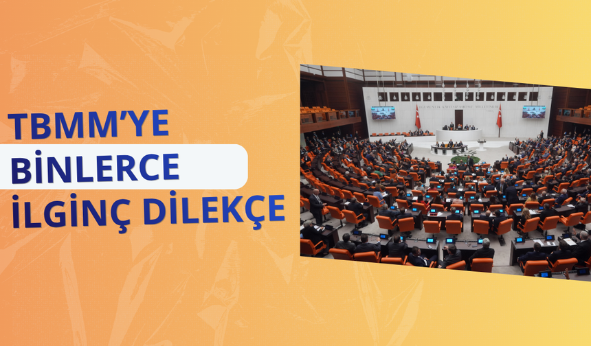 TBMM’ye binlerce ilginç dilekçe