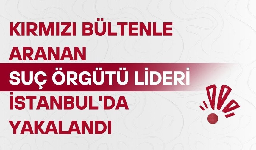Kırmızı bültenle aranan suç örgütü lideri İstanbul'da yakalandı