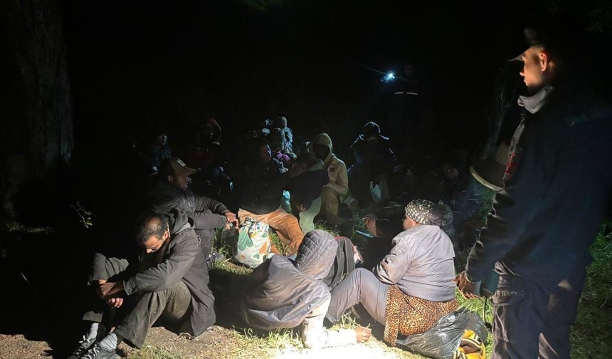 Balıkesir'de 31 düzensiz göçmen yakalandı