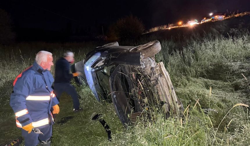 Elazığ'da domuza çarparak şarampole devrilen otomobildeki 5 kişi yaralandı