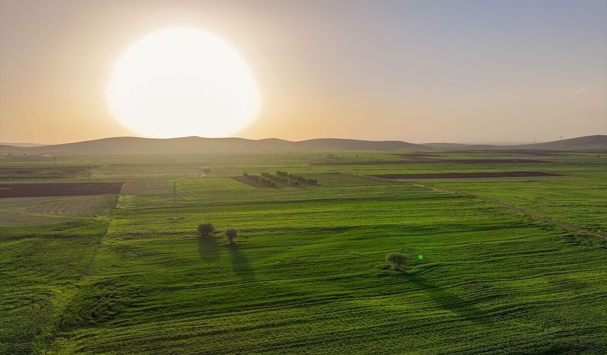 Konya'da yağışlar tarımda enerji maliyetlerini düşürdü