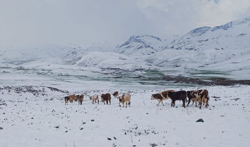 Şırnak'ın yüksek kesimlerinde kar etkili oldu