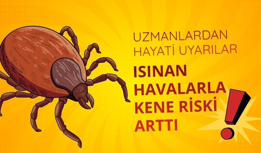 Isınan havalarla kene riski arttı: Uzmanlardan hayati uyarılar