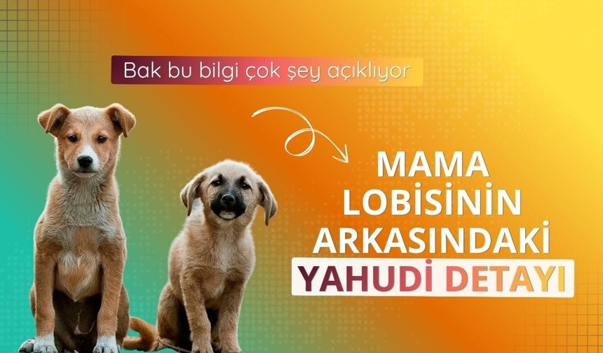 70 milyar liralık 'köpek maması' piyasasını Yahudi aileler yönetiyor