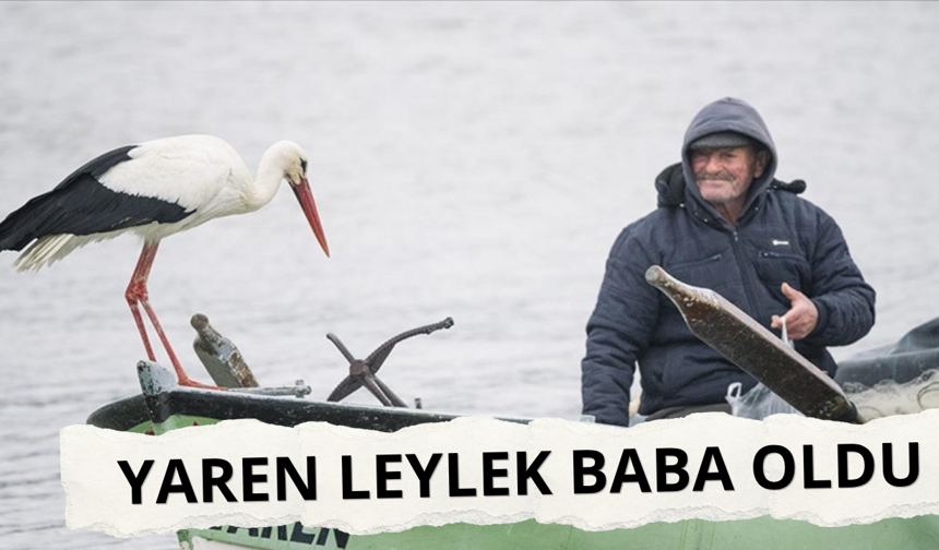 Yaren leylek baba oldu