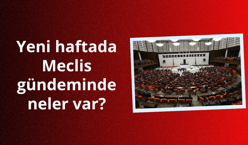 Yeni haftada Meclis gündeminde neler var?