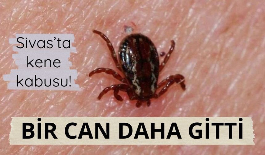 Sivas'ta KKKA hastalığı şüphesiyle ölüm