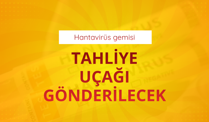 'Hantavirüs' gemisi: Tahliye uçağı gönderilecek