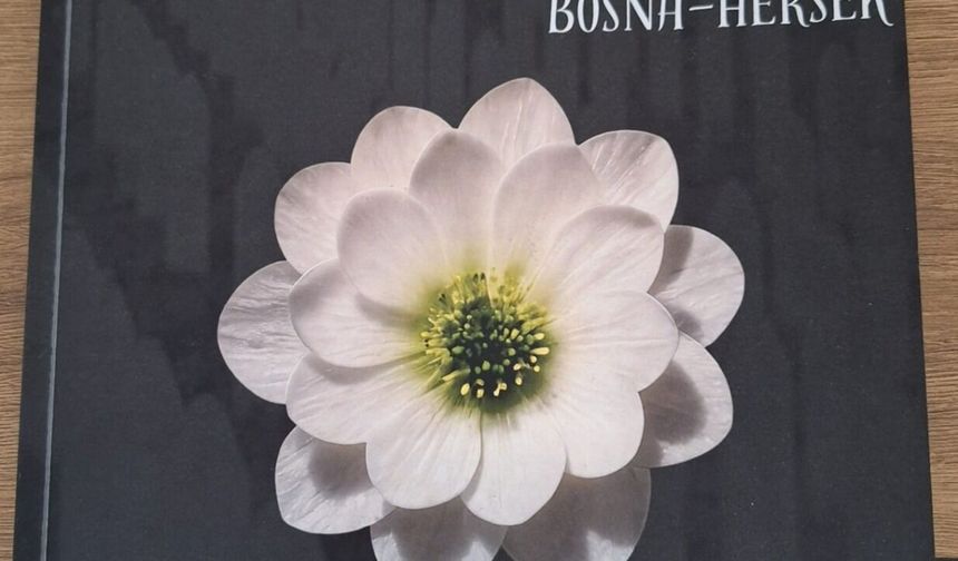 Hal ve His Dergisi’nin 2. sayısı Bosna dosyasıyla çıktı