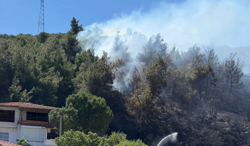 Balıkesir'deki orman yangınına havadan ve karadan müdahale ediliyor