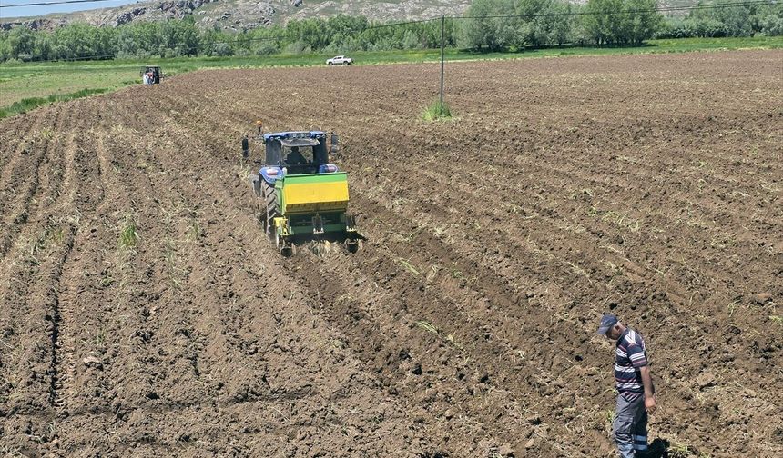 Sivas'ta sulu tarım yeniden başladı