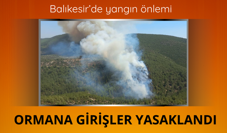 Balıkesir'de ormanlık alanlara girişler yasaklandı