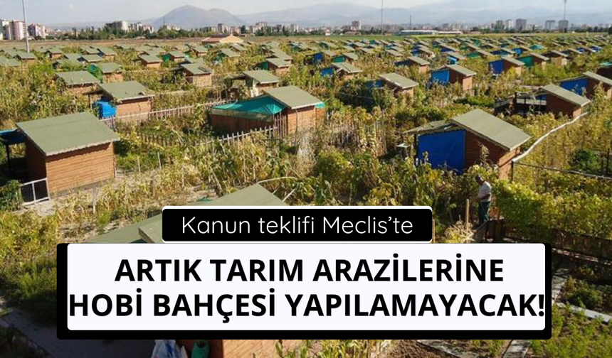 Artık tarım arazilerine hobi bahçesi yapılamayacak!