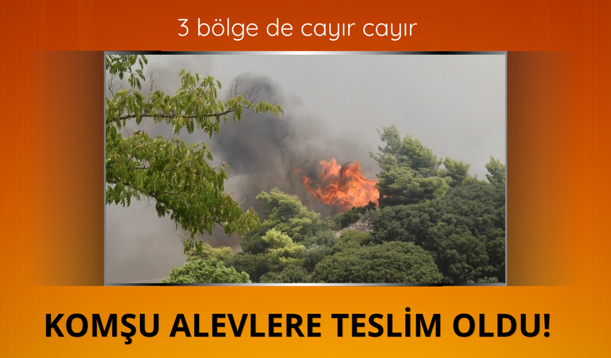 Yunanistan 3 bölgede yangınla mücadele ediyor