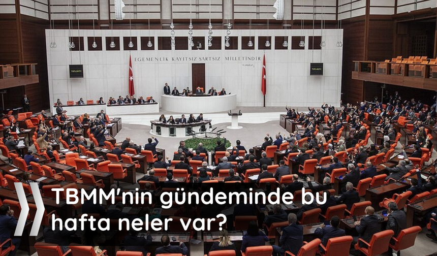 TBMM'nin gündeminde bu hafta neler var?