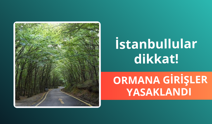 İstanbul'da ormanlık alanlara girişler yasaklandı