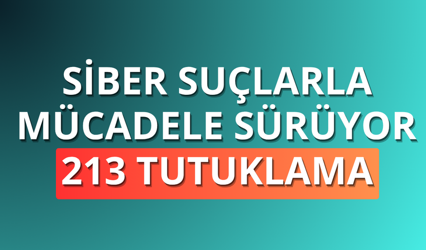 Siber suçlarla mücadele sürüyor: 213 tutuklama