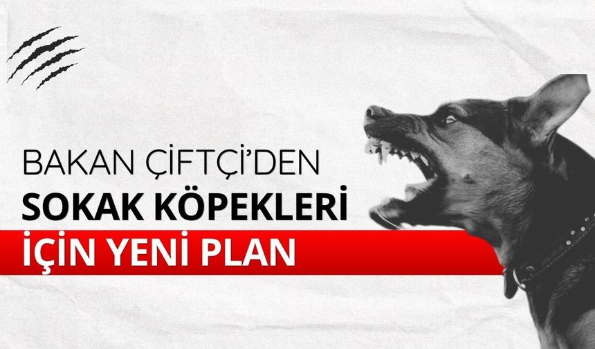 Bakan Çiftçi’den sokak köpekleri için yeni plan