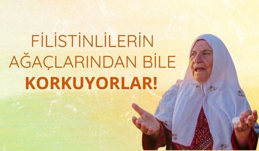 Filistinlilerin ağaçlarından bile korkuyorlar!