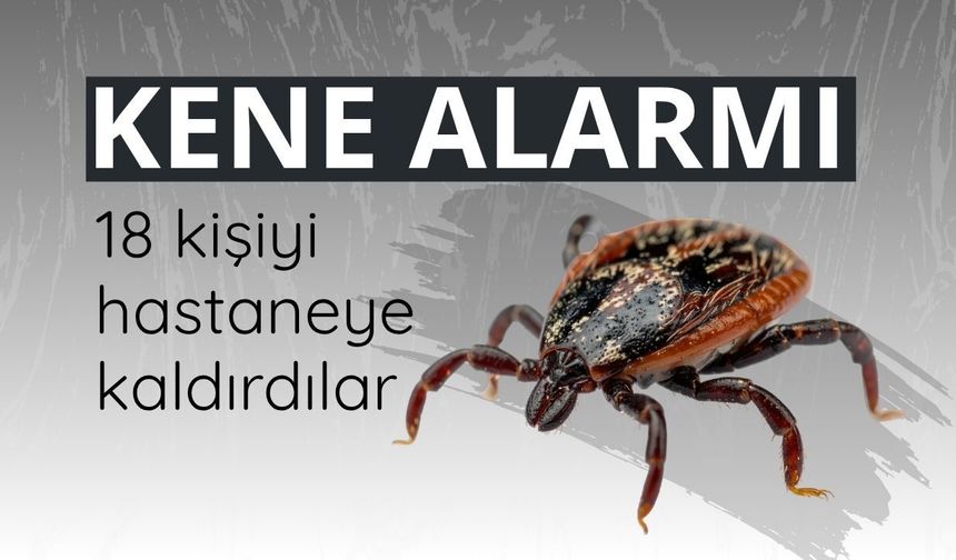 Kene kabusu devam ediyor!