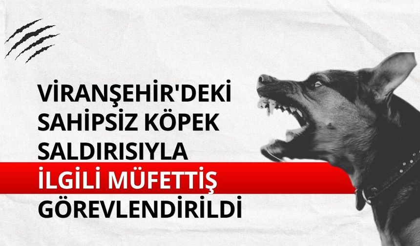 Viranşehir'deki sahipsiz köpek saldırısıyla ilgili müfettiş görevlendirildi