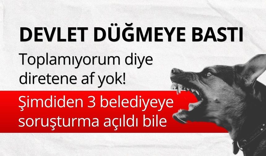 3 belediyeye başıboş köpek soruşturması