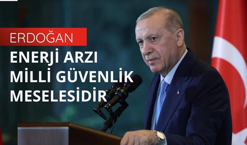 Erdoğan: Enerji arzı milli güvenlik meselesidir