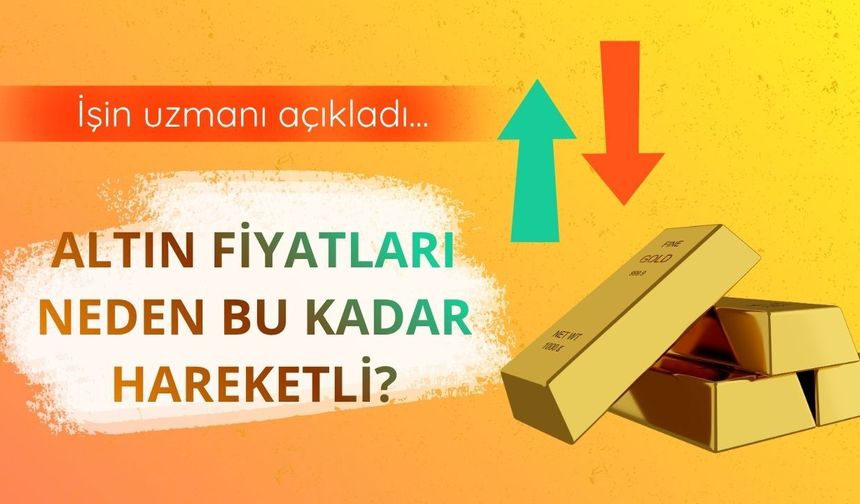 Altın neyi fiyatlıyor?