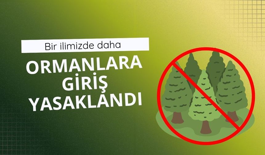 Bir ilimizde daha ormanlara giriş yasaklandı