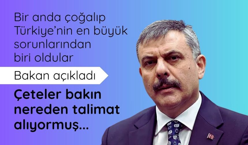 Bakan Çiftçi: Çeteleri gizli servisler kullanıyor