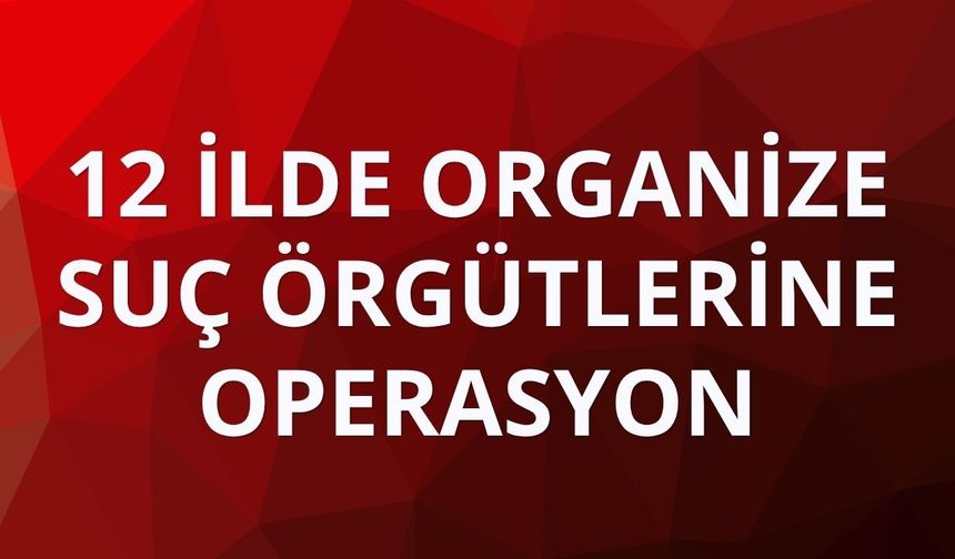 12 ilde organize suç örgütlerine operasyon: 74 gözaltı