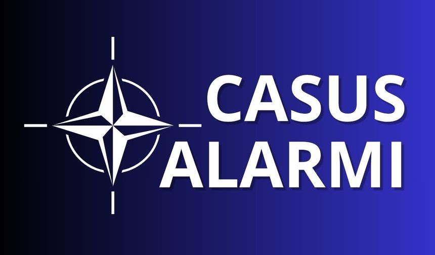 NATO'da casus krizi