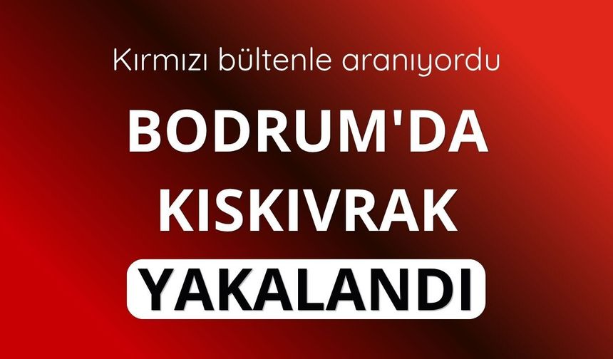 Interpol tarafından kırmızı bültenle aranan zanlı yakalandı