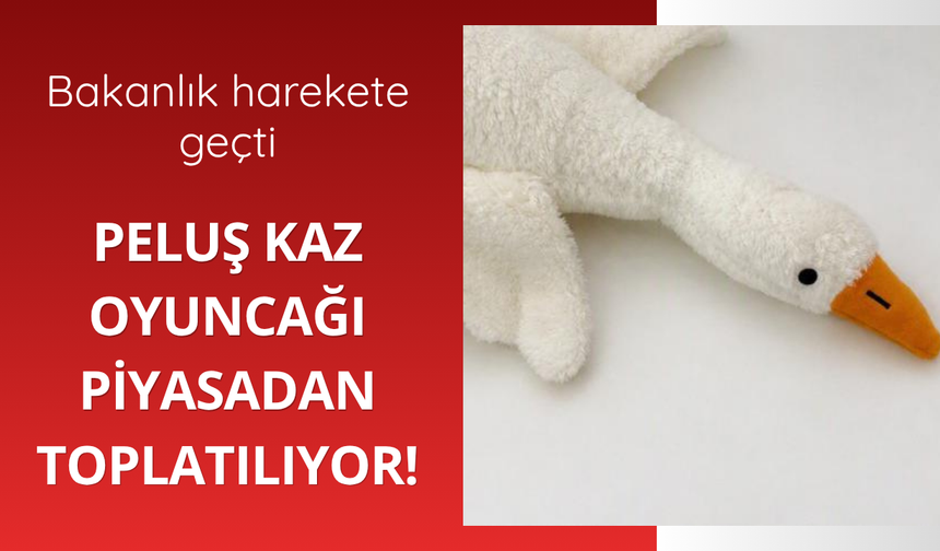 Bakanlık harekete geçti! Peluş kaz oyuncağı piyasadan toplatılıyor